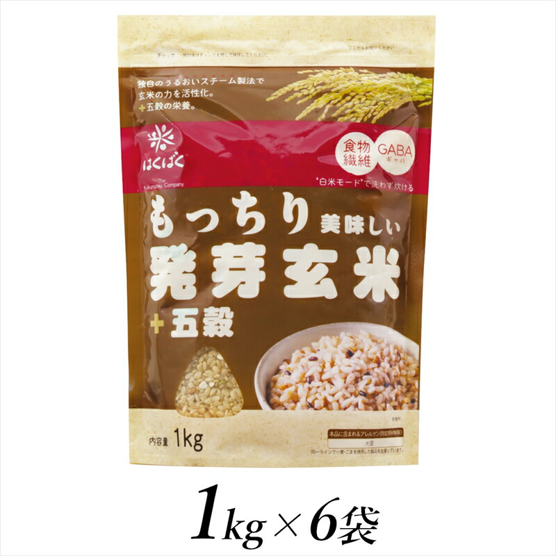 【ふるさと納税】 2.3-9-7はくばく　もっちり美味しい発芽玄米＋五穀　1kgx6個 ふるさと納税 はくばく 発芽玄米 無洗米 雑穀 玄米 五穀 おすすめ 山梨県 南アルプス市 送料無料 ALPAN027