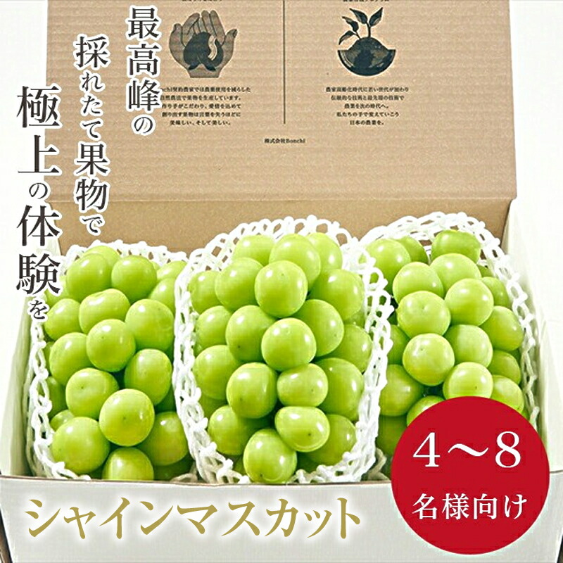 【ふるさと納税】 5-135 ＜先行予約2024年＞南アルプス市産 大粒シャインマスカット 3房入り 約2kg ふるさと納税 おすすめ 山梨県 南アルプス市 送料無料 ALPAL008