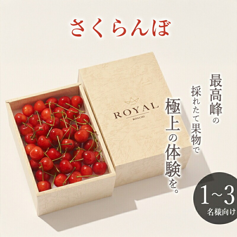 【ふるさと納税】 ＜2025年発送分先行予約＞ 山梨県産 さくらんぼ L ,2L サイズ BOX 250g ふるさと納税 さくらんぼ 果物 フルーツ おすすめ 山梨県 南アルプス市 送料無料 ALPAL026