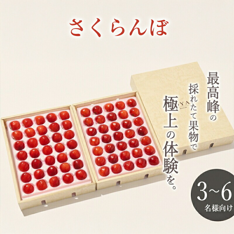 【ふるさと納税】 5-1-32 ＜先行予約2024年＞山梨県産 大粒さくらんぼ“紅秀峰”2L,3Lサイズ 70粒入 ふるさと納税 おすすめ 山梨県 南アルプス市 送料無料 ALPAL018