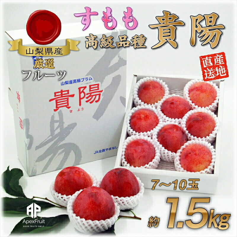 【ふるさと納税】 【25年発送先行予約】厳選！南アルプス市産『貴陽』　中玉約1.5kg（7～10玉） ふるさと納税 おすすめ 山梨県 南アルプス市 送料無料 ALPDD013