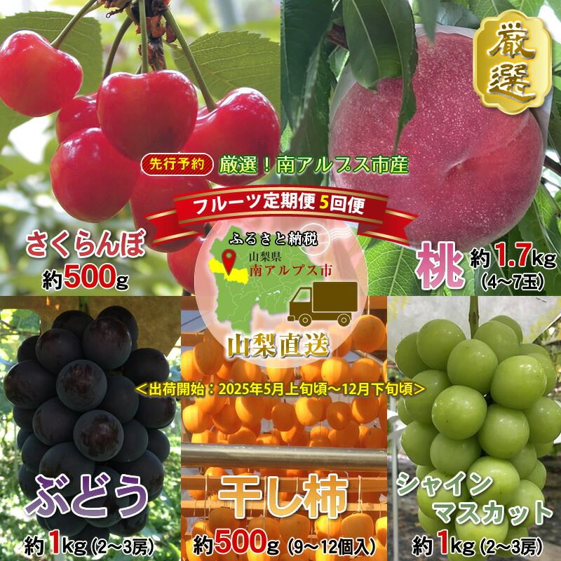 【ふるさと納税】 ＜2025年発送分先行予約＞厳選！南アルプス市産　『フルーツ定期５回便』 さくらんぼ・もも・黒ぶどう・シャインマスカット・干し柿 ふるさと納税 果物 フルーツ  葡萄 シャインマスカット  おすすめ 山梨県 南アルプス市 送料無料 ALPDD001