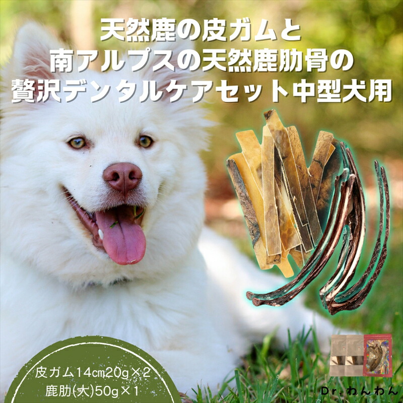 日本鹿の角 4対セット+ 1 本（9本セット） No.1 ㊱鹿の角 鹿のツノ 一対 シカツノ つの インテリア ペット 工芸