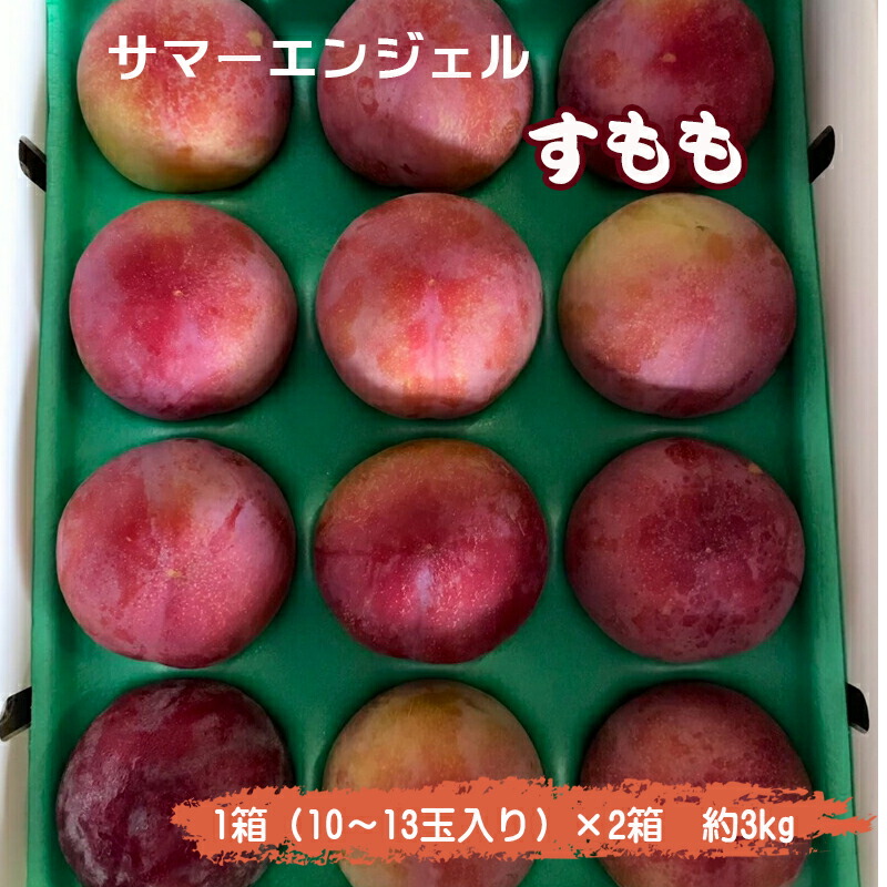 【ふるさと納税】 5-13 【2025年／令和7年発送先行予約】すもも「サマーエンジェル」10～13玉入り×2箱約3kg ふるさと納税 おすすめ 山梨県 南アルプス市 送料無料 ALPAA015