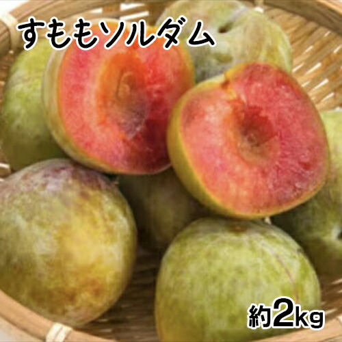 【ふるさと納税】 【2025年発送先行予約】すももソルダム約2kg ふるさと納税 すもも ソルダム プラム 果物 フルーツ おすすめ 山梨県 南アルプス市 送料無料 ALPCZ004