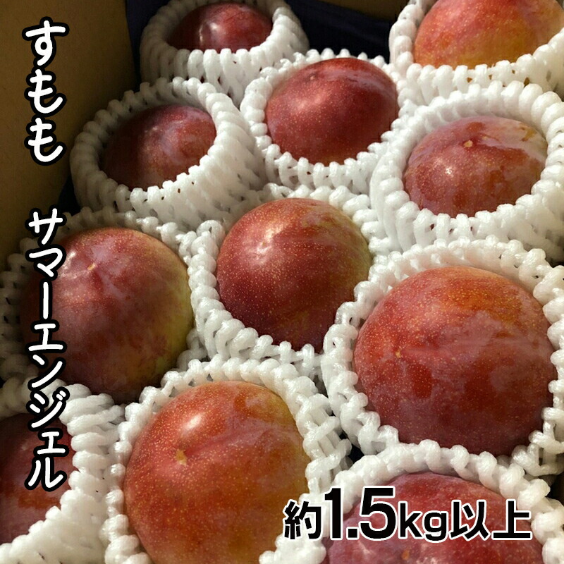【ふるさと納税】 【2025年発送先行予約】すもも　サマーエンジェル「夏の天使」約1.5kg以上 ふるさと納税 すもも サマーエンジェル プラム 果物 フルーツ おすすめ 山梨県 南アルプス市 送料無料 ALPCZ010
