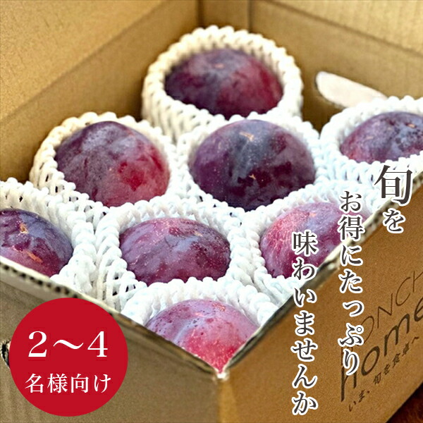 【ふるさと納税】 5-101 ＜先行予約2024年＞山梨県産 ご家庭用貴陽 約1.5kg ふるさと納税 おすすめ 山梨県 南アルプス市 送料無料 ALPAL015