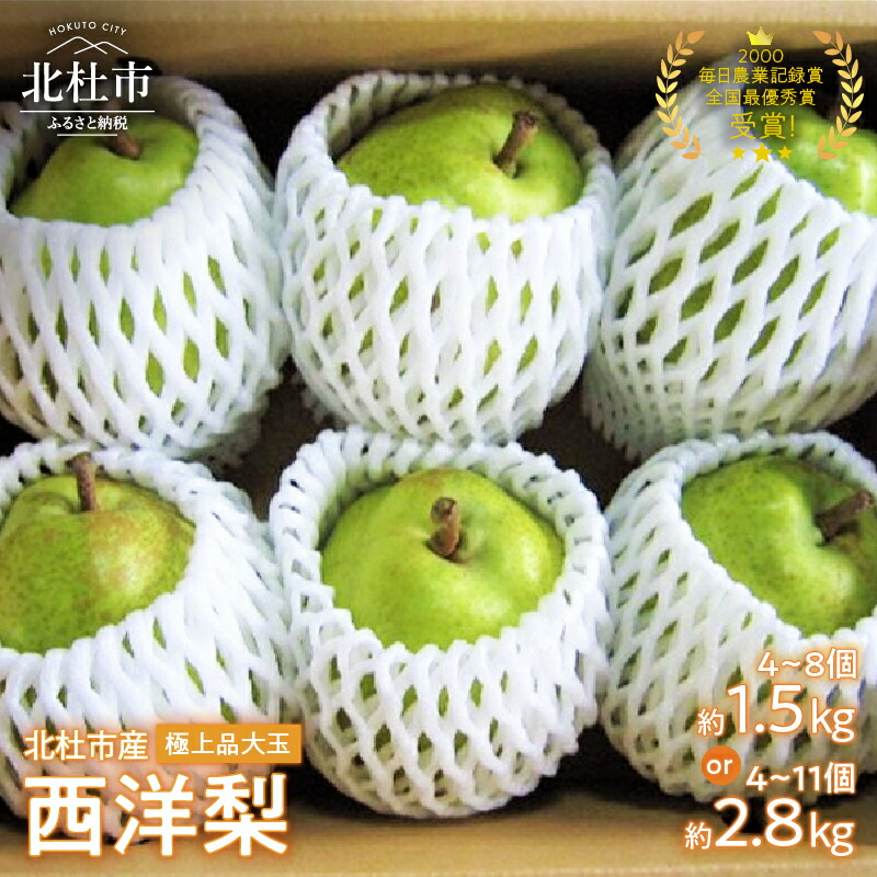 【ふるさと納税】 大玉 西洋梨 約1.5kg 約2.8kg 【先行予約】 毎日農業記録賞・全国最優秀賞受賞 やまなしGAP認証 洋梨 梨 フルーツ 糖度14以上 極上品 ラフランス※2025年9月中旬以降発送 オーロラ ラ・フランス シルバーベル 岩原果樹園 山梨県 北杜市 送料無料