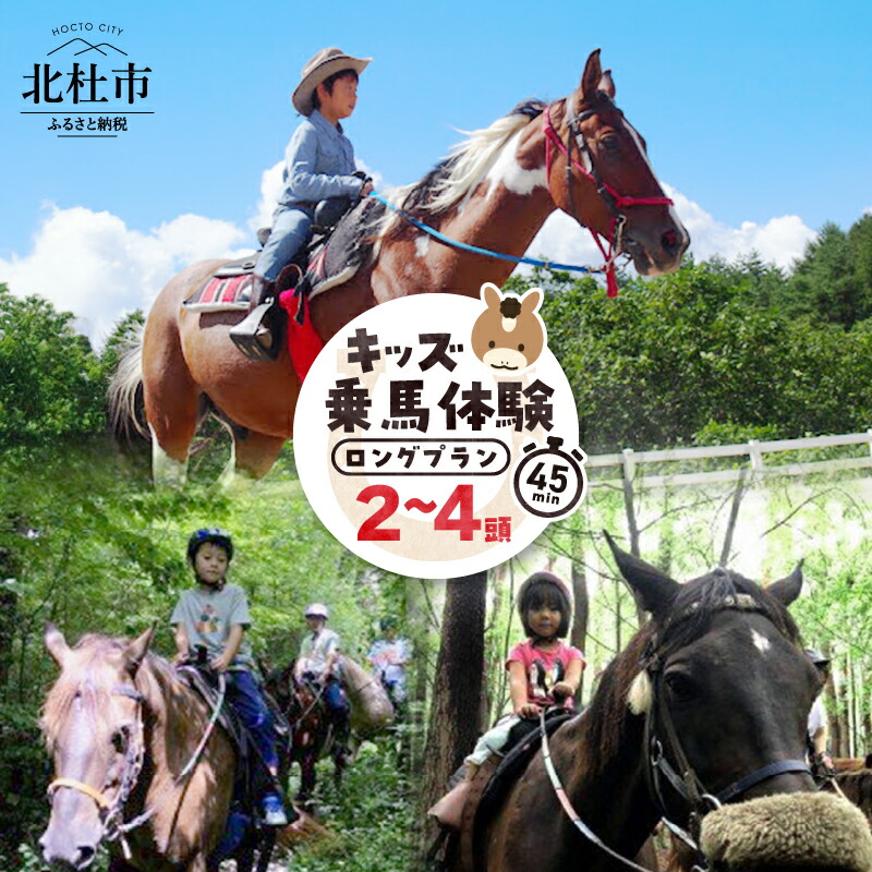 楽天市場】【ふるさと納税】明石乗馬協会 ポニー 乗馬 ごほうびセット