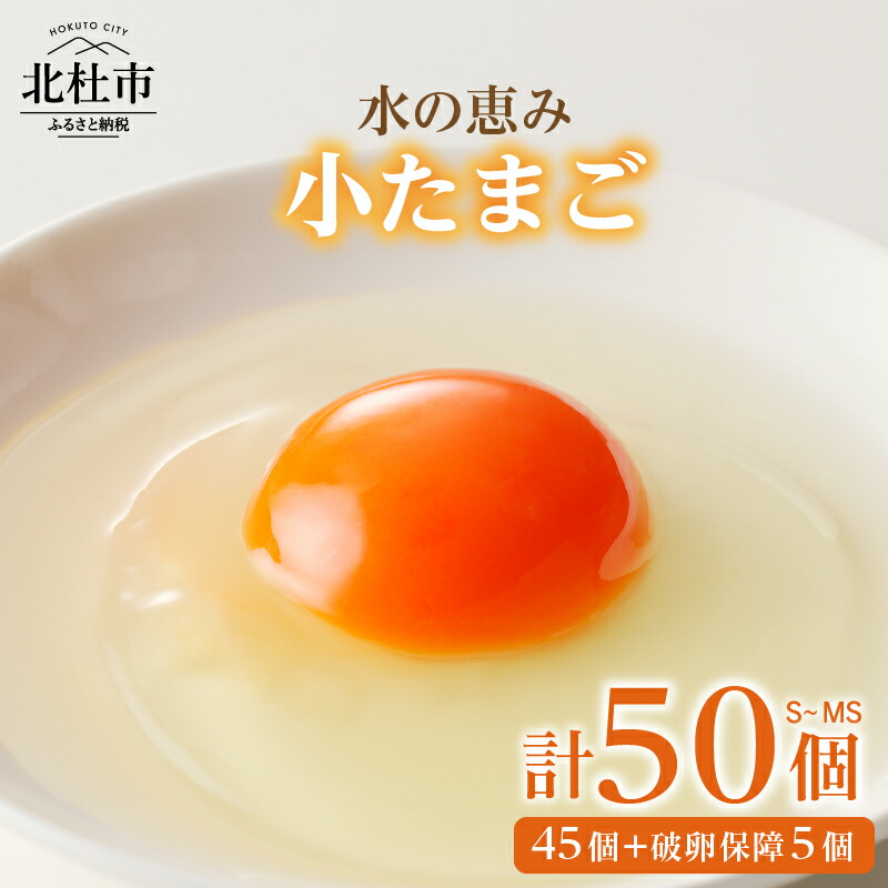 【ふるさと納税】 たまご 水の恵み小卵 S～MSサイズ 45個 破卵保証5個 計50個 鶏卵小玉 山梨県 北杜市産 卵 送料無料