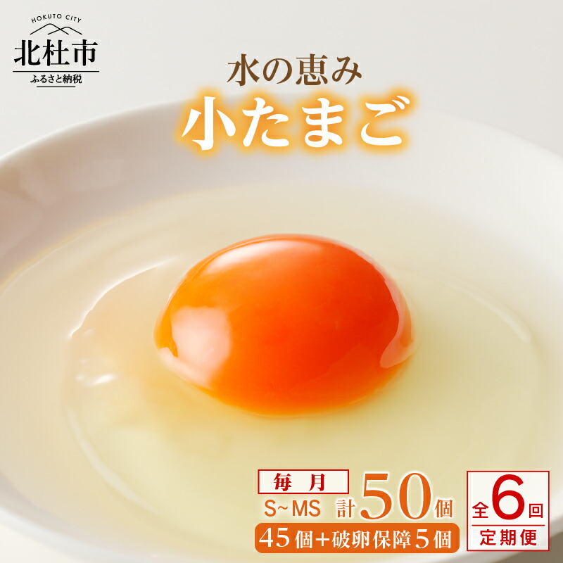 【ふるさと納税】たまご 定期便 6ヵ月 水の恵み小卵 S～MSサイズ 45個 破卵保証5個入り 鶏卵小玉 山梨県 北杜市産 卵 送料無料