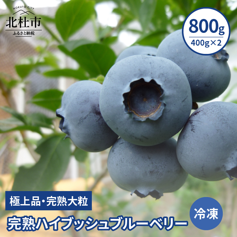 【ふるさと納税】 ブルーベリー 冷凍 期間限定 2025年 先行予約 ハイブッシュブルーベリー 800g 400g×2 完熟 大粒 甘い 人気  極上品 八ヶ岳南麓 送料無料