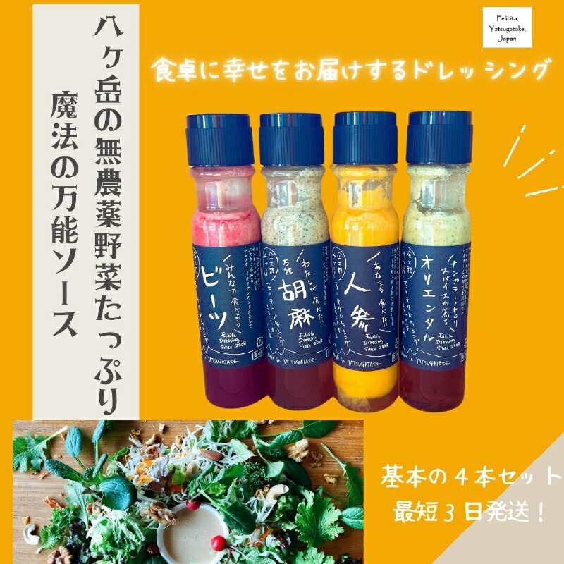 【ふるさと納税】 ドレッシング 200ml 4本 セット 有機 野菜 調味料 人参 ビーツ 胡麻 オリエンタル 万能 フェリチタ サラダ 万能調味料 送料無料