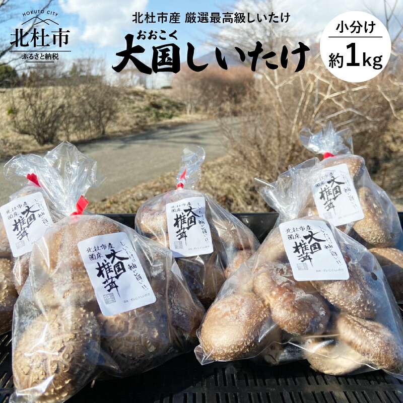 ふるさと納税 大国しいたけ 菌床しいたけ 厳選 5袋セット 200 袋 きのこ 山梨県産 送料無料 Farnostostravahrusov Cz