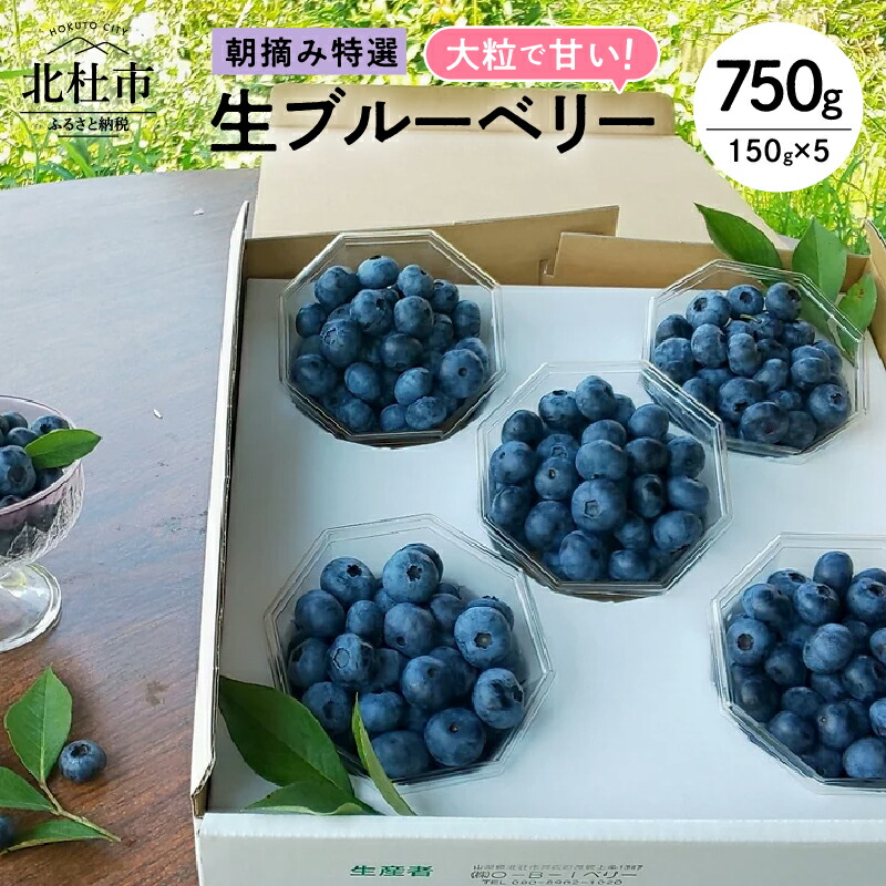 【ふるさと納税】 【2025年先行予約】ブルーベリー 生 3種類以上 完熟 大粒 朝摘み フルーツ 果物 特選 150g×5パック 甘い 品種 食べ比べ  送料無料