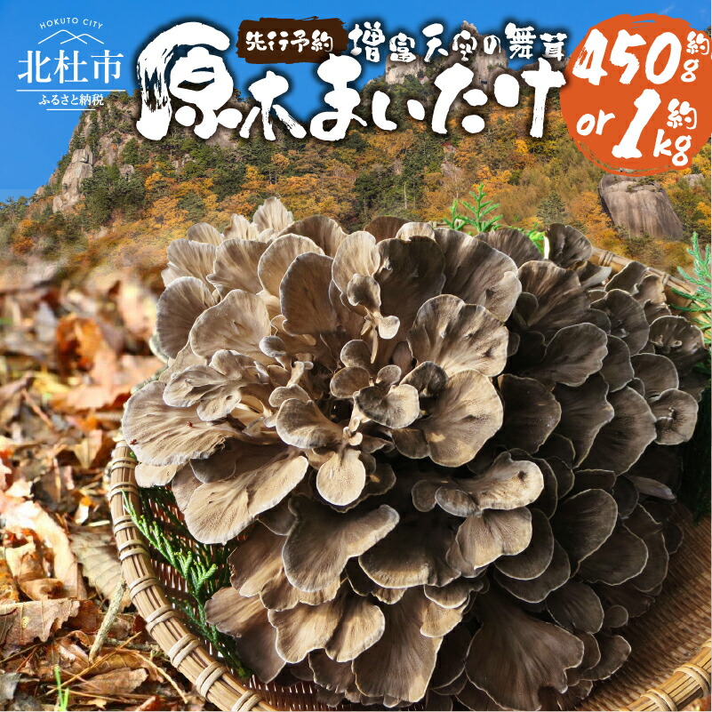 【ふるさと納税】 令和7年産 舞茸 原木舞茸 まいたけ きのこ 肉厚 選べる容量 約450g 約1kg 期間限定 ナラの木 北杜市 須玉町産 増富天空の舞茸 北杜市 送料無料
