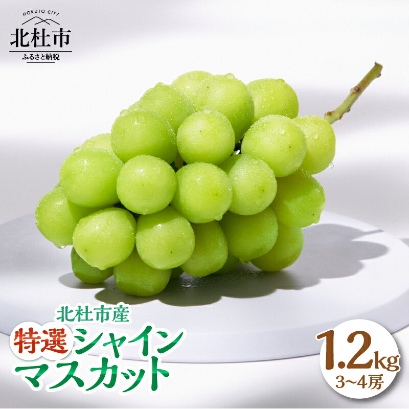 楽天市場】【ふるさと納税】 マスカ・サーティーン 2025年 先行予約