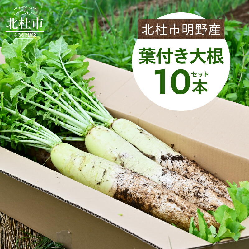 【ふるさと納税】 【2026年先行予約】 葉付き 大根 10本 セット 野菜 10kg程度 北杜市明野産 ダイコン 農薬不使用 有機肥料 新鮮 大根葉 生食 煮物 期間限定 山梨県 北杜市 送料無料 10000円 10000 1万円