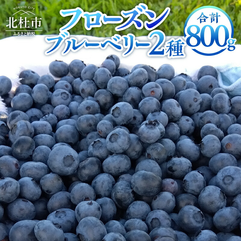 【ふるさと納税】 ブルーベリー 400g×2品種 計800ｇ 完熟 大粒 朝採り 無農薬 冷凍 フローズンブルーベリー 異なる2品種 アソート チャック付きパック 八ヶ岳南麓育ち【2025年先行予約】 送料無料