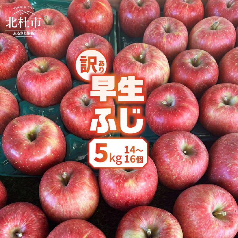 【ふるさと納税】 りんご 訳あり 2025年先行予約 山梨県産 早生ふじ 期間限定 5kg 14個～16個 家庭用 規格外 フルーツ 果物 果実 山梨 北杜市 送料無料