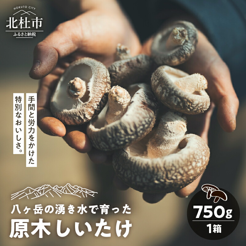 【ふるさと納税】 しいたけ 原木しいたけ 1箱 750g きのこ 椎茸 八ヶ岳 湧水 栄養 菌打ち 収穫 料理 冷蔵 山梨県 北杜市 送料無料|山梨県北杜市