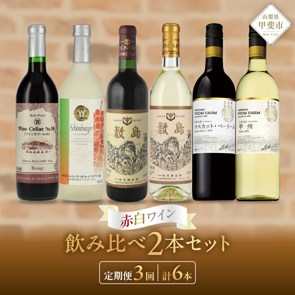 【ふるさと納税】甲斐市ワイナリー別 赤白ワイン2本 定期便 2本×3回 計6本 ワイン 赤ワイン 白ワイン 飲み比べ セット お酒 酒 アルコール 山梨県産 国産 山梨県 甲斐市 AD-273