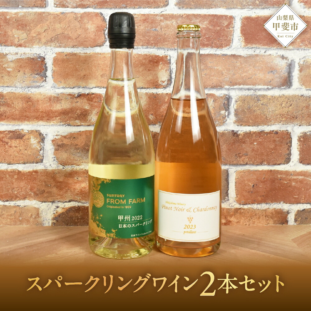 【ふるさと納税】甲斐市産スパークリングワイン2本セット　ワイン 家飲み スパークリング 日本ワイン 山梨ワイン 定番 テーブルワイン お酒 SUNTORY 甲州 飲み比べ 山梨県 甲斐市 AD-296