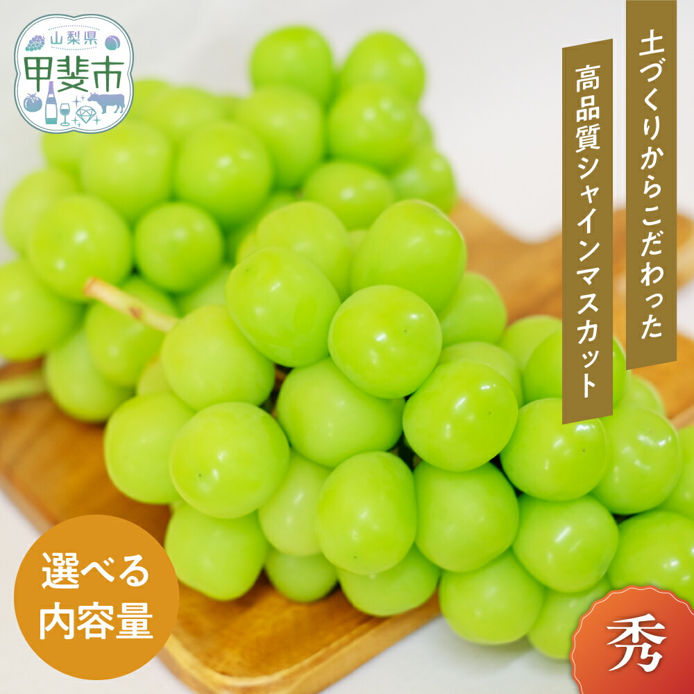 【ふるさと納税】【2025年-令和7年発送分☆先行予約☆】山梨県産 朝採り新鮮 シャインマスカット 1.2kg　 果物 ぶどう フルーツ デザート 旬の果物  国産 　果物 ぶどう フルーツ デザート 食後 おやつ  国産 　シャインマスカット　シャイン　訳あり　家庭用　山梨　お
