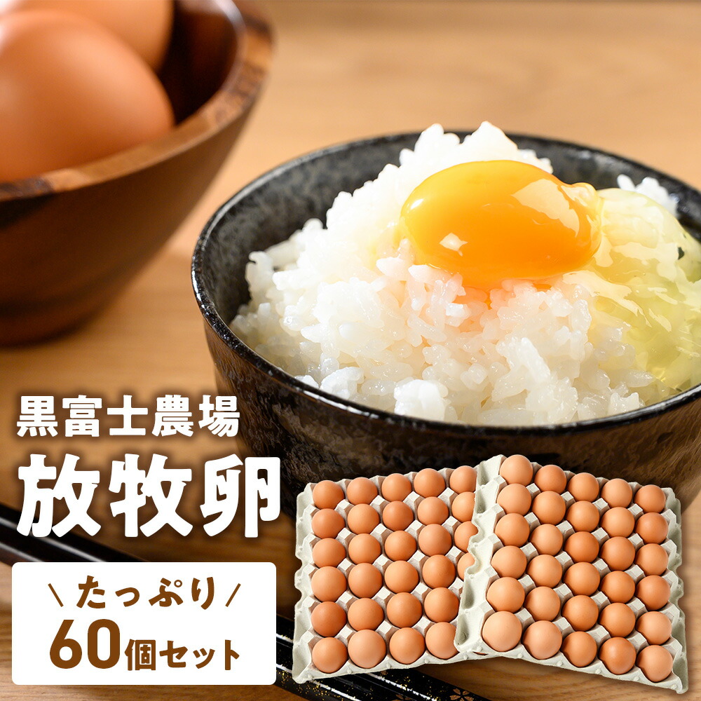 【ふるさと納税】黒富士農場の放牧卵たっぷり60個セット 卵 たまご タマゴ 玉子 鶏卵 黒富士農場 新鮮 自然卵 放牧卵 たまごかけご飯 平飼い 冷蔵 山梨 甲斐市 B-29