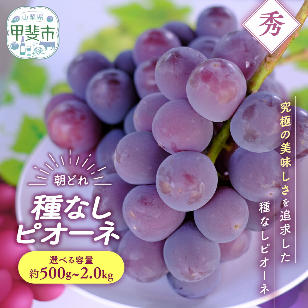 【ふるさと納税】【（2026年/令和8年）発送＜先行予約＞】 種なし ピオーネ 1房 約500g～約2.0kg 先行予約 先行 予約 山梨県産 産地直送 フルーツ 果物 くだもの ぶどう ブドウ 葡萄 新鮮 人気 おすすめ 国産 贈答 ギフト お取り寄せ 令和8年発送分 山梨 甲斐市 AV-32