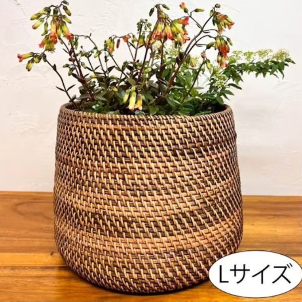 きっと見つかるあなたに似合う宝飾品特集