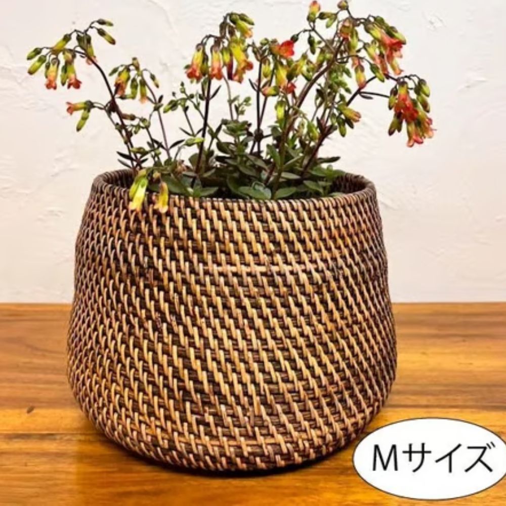 きっと見つかるあなたに似合う宝飾品特集