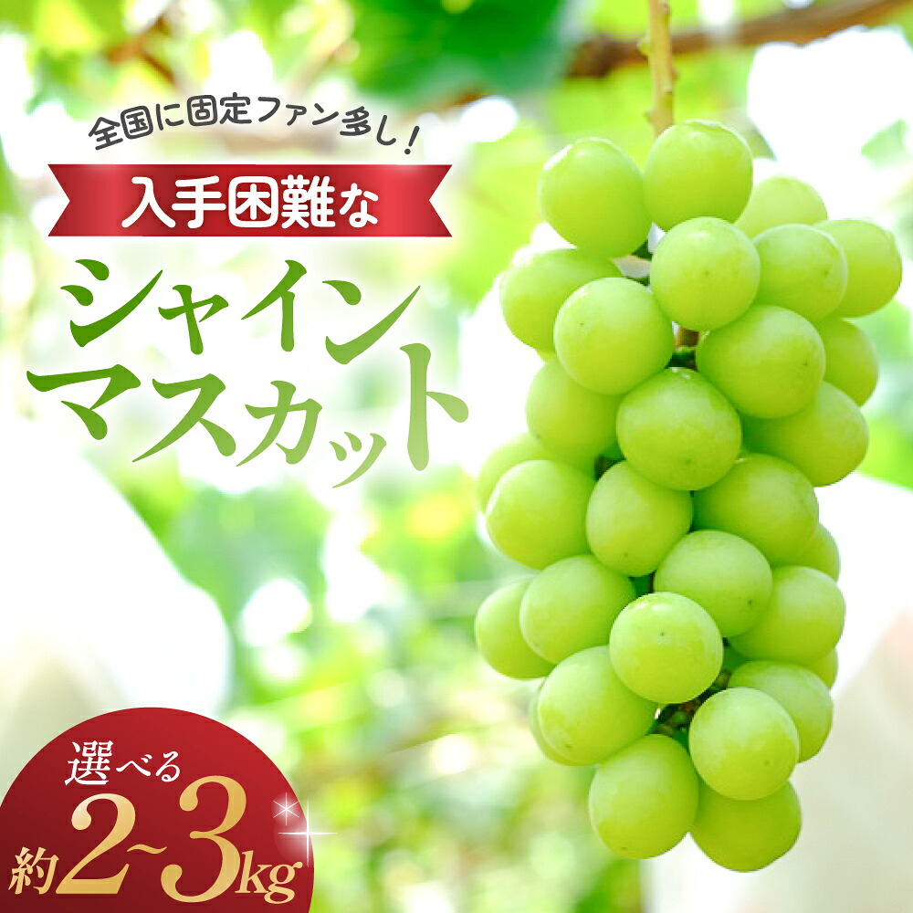 【ふるさと納税】【（2026年/令和8年）発送＜先行予約＞】シャインマスカット 2kg～3kg 2房～6房 先行予約 先行 予約 山梨県産 国産 産地直送 人気 おすすめ 贈答 ギフト お取り寄せ フルーツ 果物 くだもの ぶどう ブドウ 葡萄 新鮮 甘い 皮ごと 種なし 甲斐市 N-5｜山梨県甲斐市