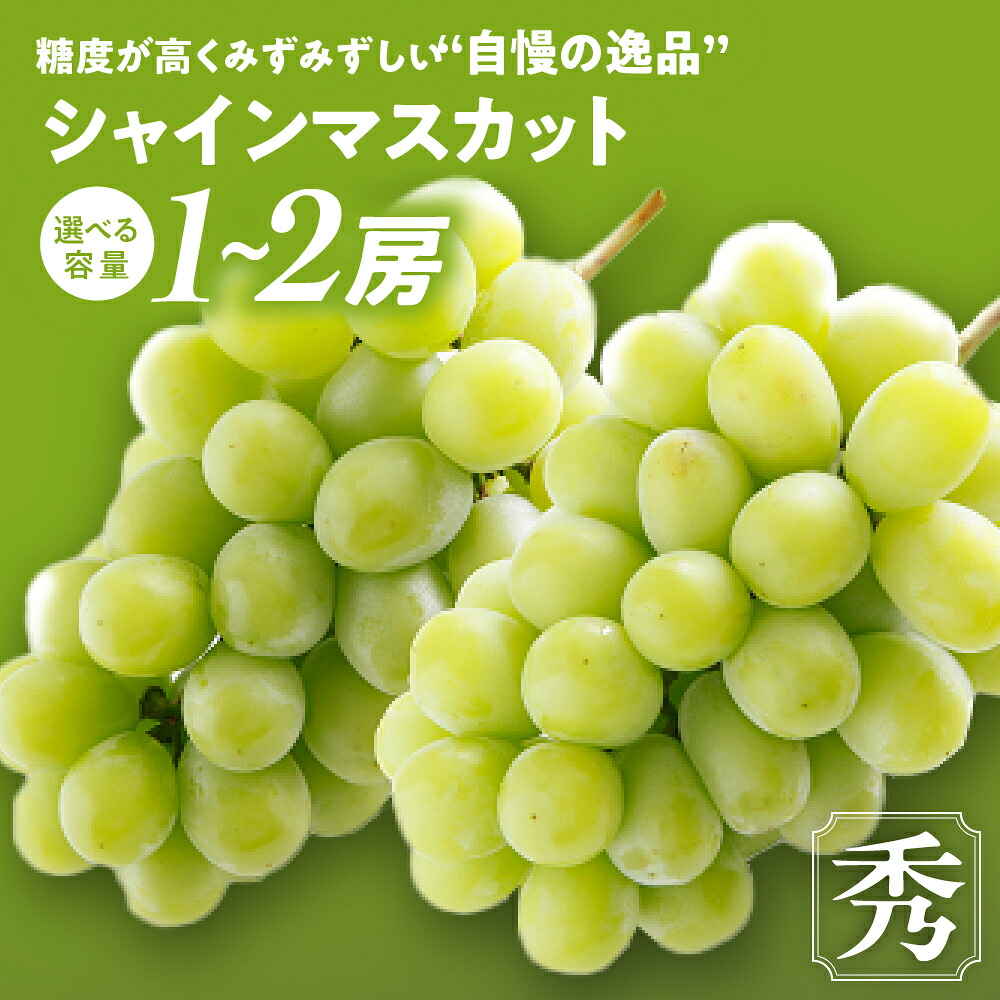 【ふるさと納税】【（2026年/令和8年）発送＜先行予約＞】”自慢の逸品”シャインマスカット 1房 等級 秀 先行予約 先行 予約 山梨県産 産地直送 フルーツ 果物 くだもの ぶどう 葡萄 シャイン シャインマスカット 新鮮 人気 おすすめ 国産 贈答 山梨 甲斐市 BH-15