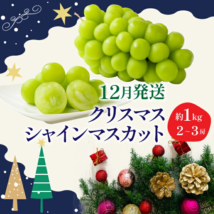 【ふるさと納税】＜25年発送先行予約＞ 冬季限定！！ 山梨県笛吹市産 クリスマスシャインマスカット 約1.0kg 2～3房 ふるさと納税  クリスマス シャインマスカット 笛吹市 国産 人気 期間限定 ぶどう ブドウ 葡萄 プレゼント 贈り物 果物 フルーツ 山梨県 送料無料 105-020
