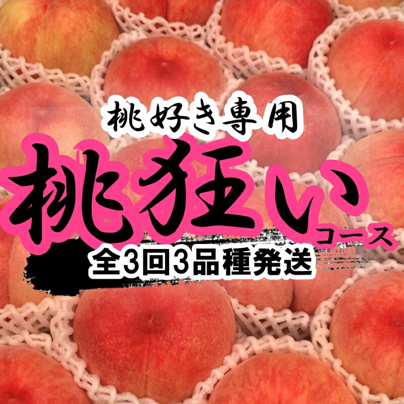 【ふるさと納税】＜25年発送先行予約＞山梨県笛吹市産 桃狂い 約1kg×3回発送 ふるさと納税 おすすめ ランキング もも 桃 笛吹市 国産 人気 期間限定 果物 フルーツ 旬 山梨県 送料無料 定期便 105-010