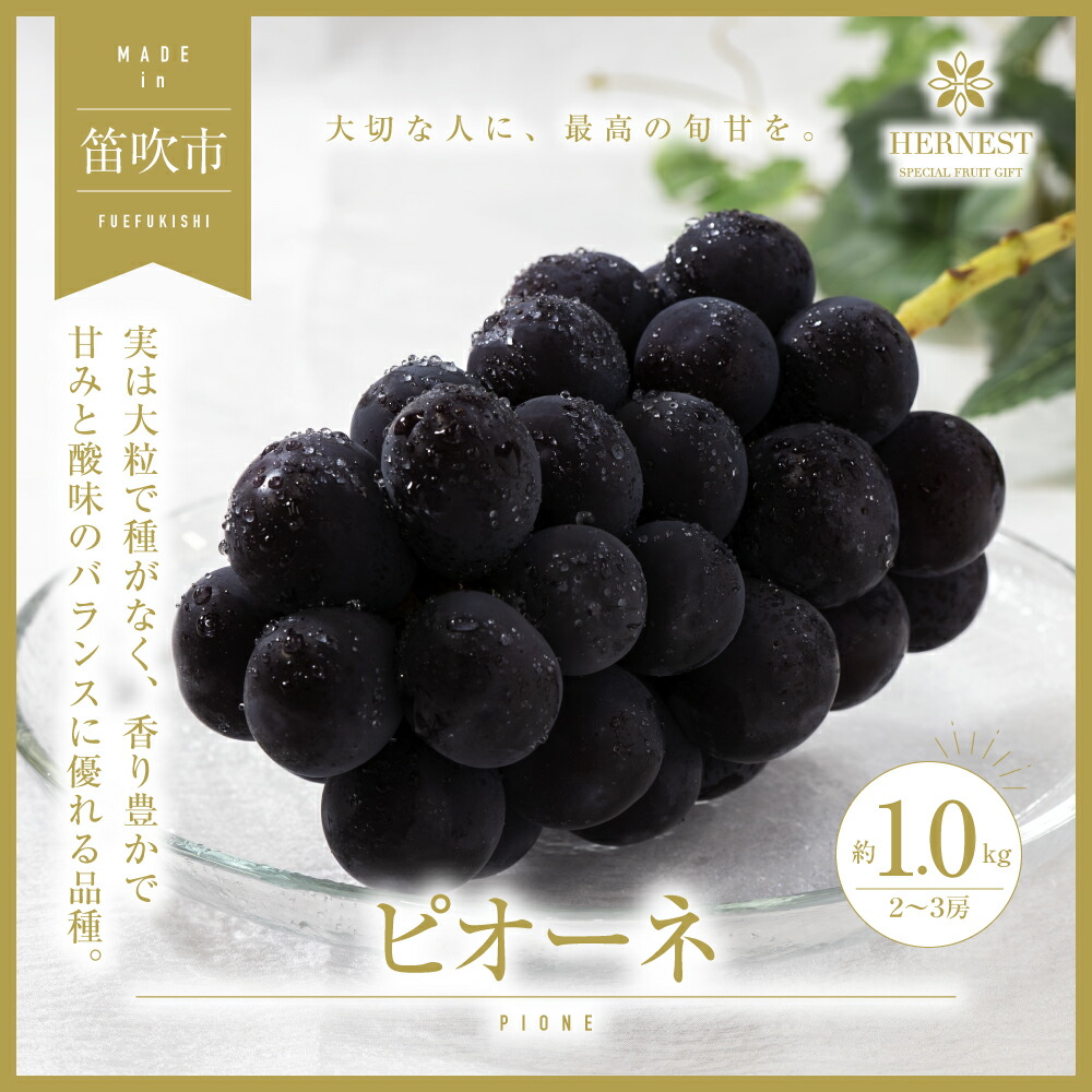 【ふるさと納税】＜25年発送先行予約＞山梨県笛吹市産　旬の採れたてピオーネ　約1kg　2～3房 ふるさと納税 おすすめ ランキング ピオーネ 笛吹市  国産 人気 期間限定  ぶどう ブドウ 葡萄 旬 果物 フルーツ 山梨県 送料無料 105-014