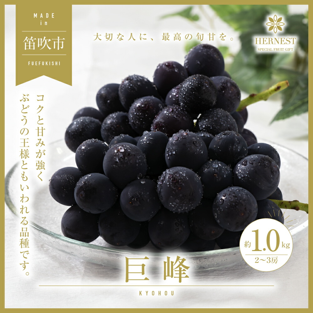【ふるさと納税】＜25年発送先行予約＞山梨県笛吹市産　旬の採れたて巨峰　約1kg　2～3房 ふるさと納税 おすすめ ランキング 巨峰 笛吹市  国産 人気 期間限定  ぶどう ブドウ 葡萄 旬 果物 フルーツ 山梨県 送料無料 105-015