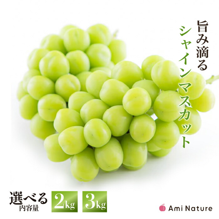 【ふるさと納税】＜25年発送先行予約＞さわやかに滴る シャインマスカット 2kg~3kg 数量限定 無くなり次第終了シャインマスカット 笛吹市  国産 人気 期間限定  ぶどう ブドウ 葡萄 旬 果物 フルーツ 山梨県 送料無料 065-023