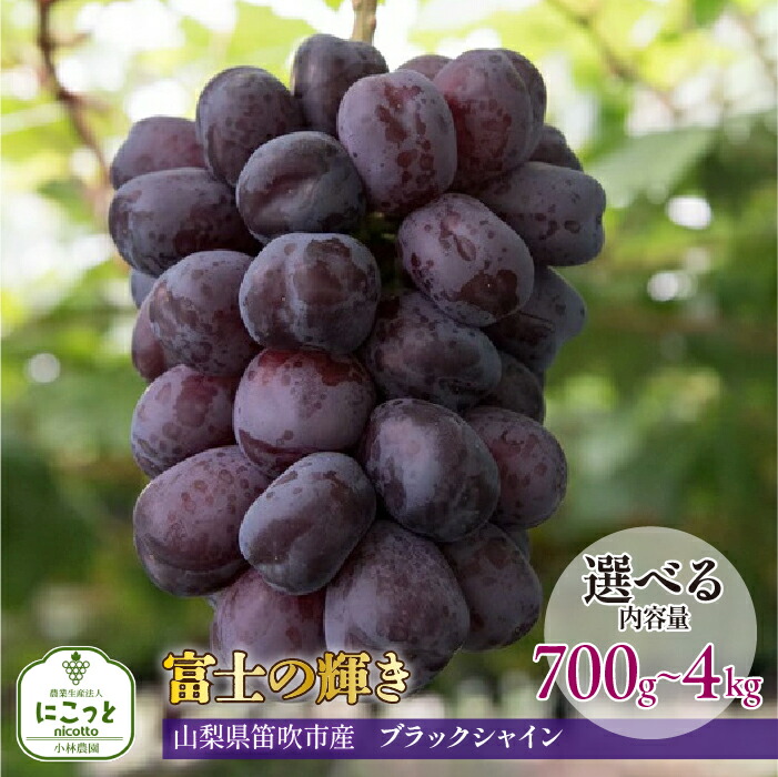 【ふるさと納税】＜25年発送先行予約＞希少 大粒ぶどう 富士の輝き 約700g～ 【選べる容量】 小林農園のブラックシャインマスカット ぶどう 笛吹市 山梨県産 人気 期間限定 旬 果物 フルーツ 送料無料 お中元 帰省 贈答 ギフト  097-009