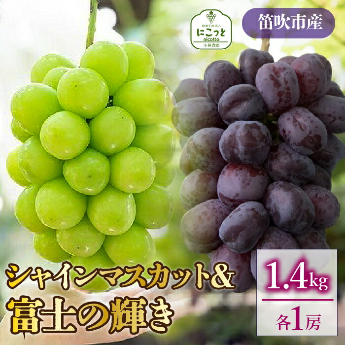 【ふるさと納税】シャインマスカット・富士の輝　1房ずつ（合計1.4kg） ふるさと納税 おすすめ ランキング  シャインマスカット 富士の輝  笛吹市  国産 人気 ぶどう ブドウ 葡萄 旬 果物 フルーツ 山梨県 送料無料 097-023