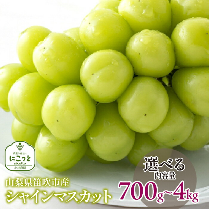 【ふるさと納税】＜25年発送先行予約＞笛吹市産 シャインマスカット【選べる容量 700g～】  笛吹市  国産シャインマスカット 葡萄 果物 甘い デザート おやつ 山梨県 送料無料 097-004