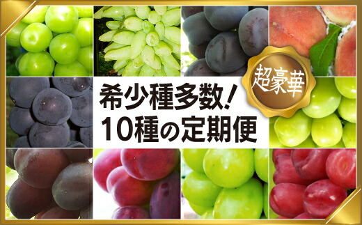 【ふるさと納税】＜25年発送先行予約＞山梨県笛吹市産日本一のフルーツの里から定期便コース（全10種） シャインマスカット ブラックシャインなど希少品種含む ふるさと納税 おすすめ ランキング シャインマスカット 桃 笛吹市  国産 ぶどう 旬 果物 山梨県 送料無料 097-010