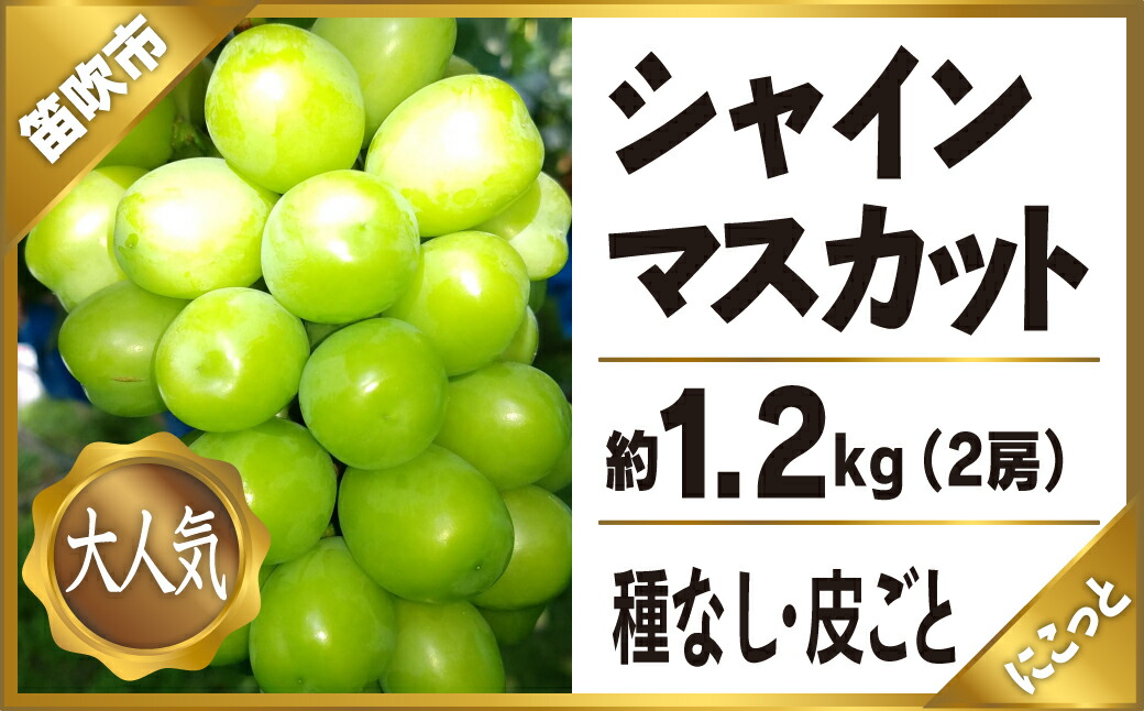 楽天市場 ふるさと納税 数量限定 シャインマスカット 山梨 産地直送 1kg 2房 山梨県産 フルーツ 果物 ぶどう 山梨県富士吉田市