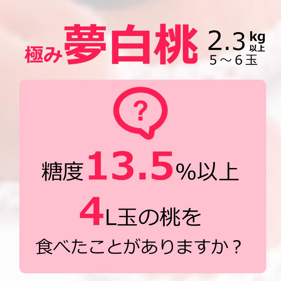 種類豊富な品揃え ふるさと納税 数量超限定 極み 夢白桃 2 3kg以上 5 6個 光センサー使用 糖度13 5 以上 朝摘み 産地直送 先行予約 桃 もも モモ 高級 フルーツ 山梨 笛吹市 一宮 ギフト 人気 Whitesforracialequity Org