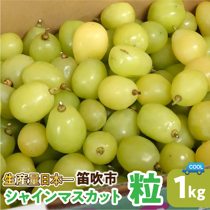 【ふるさと納税】＜25年先行予約＞ シャインマスカット 粒 1kg  (沖縄･離島配送不可) 期間限定 さわやかな甘さ パリッとはじける食感 芳醇 上品な香り ご自宅用 ぶどう 人気 お盆 帰省 旬 果物 くだもの フルーツ 山梨県 笛吹市 リピート 高評価  送料無料 自社農園 106-020