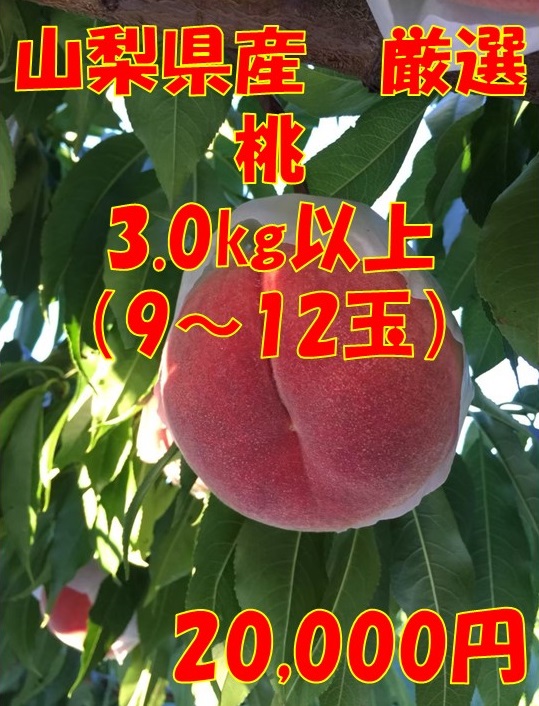 最新人気 楽天市場 ふるさと納税 山梨県産 厳選 桃 3 0ｋｇ 9 12玉 山梨県笛吹市 超人気の Blog Belasartes Br