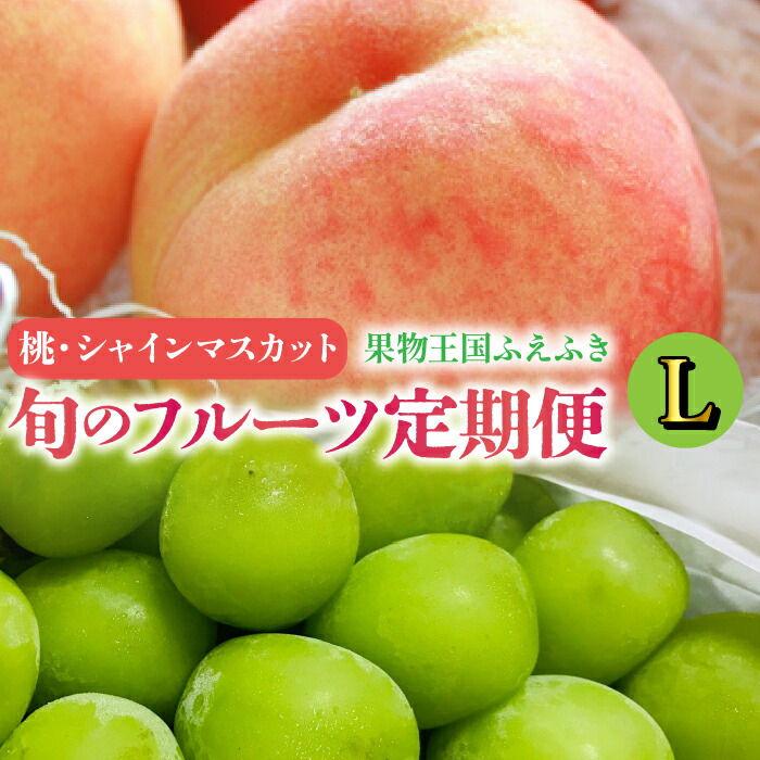 【ふるさと納税】通年定期便★ふえふき旬のフルーツ（桃・シャインマスカット）【L】 ★楽天限定★　ふるさと納税 おすすめ ランキング もも 桃 笛吹市 国産 人気 期間限定 果物 フルーツ おやつ デザート ピーチ 旬 山梨県 送料無料 109-015