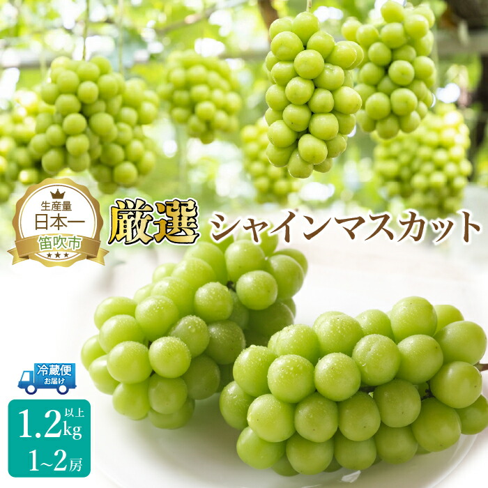 【ふるさと納税】＜25年発送先行予約＞厳選シャインマスカット1.2kg（1～2房）  ふるさと納税 シャインマスカット  笛吹市  国産 人気 期間限定  ぶどう ブドウ 葡萄 旬 果物 フルーツ 山梨県 送料無料 111-015