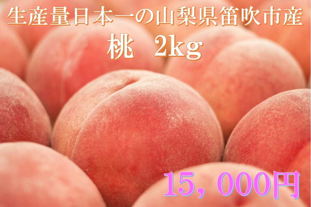 楽天市場 ふるさと納税 大人気 硬い 桃 山梨県産 約2 0kg 約5 8玉入りクール便対応 産地直送 フルーツ旬果ふるさと農園 クラウドファンディング対象 山梨県笛吹市